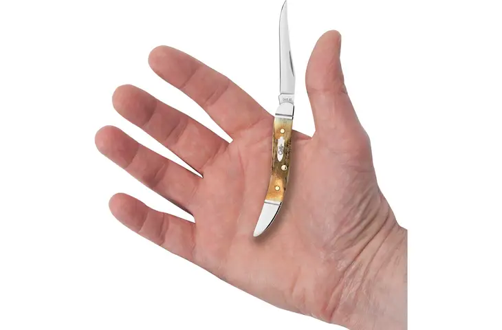 Case Small Toothpick Stag 3in Folding Knife - view 4